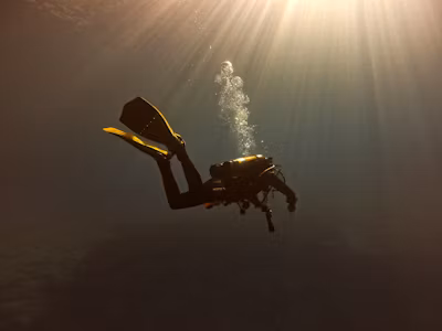 Prizmatem : A Deep Dive into Its Applications and Benefits